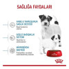 Royal Canin 4 Kg Mini Starter Mother & Baby | Yavru Köpek Kuru Maması