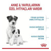 Royal Canin 4 Kg Mini Starter Mother & Baby | Yavru Köpek Kuru Maması