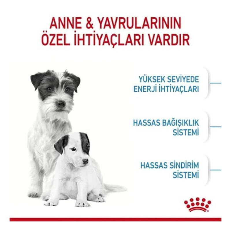 Royal Canin 4 Kg Mini Starter Mother & Baby | Yavru Köpek Kuru Maması