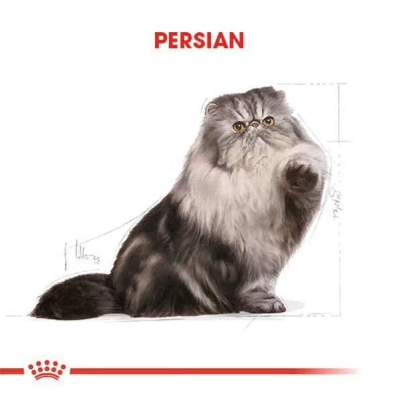 Royal Canin 4 Kg Persian Adult | Özel Irk Kuru Kedi Maması