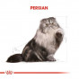 Royal Canin 4 Kg Persian Adult | Özel Irk Kuru Kedi Maması