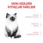 Royal Canin 400+400 Gr Hediyeli Kitten | Yavru Kedi Kuru Maması