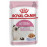 Royal Canin 85 Gr Kitten Jelly