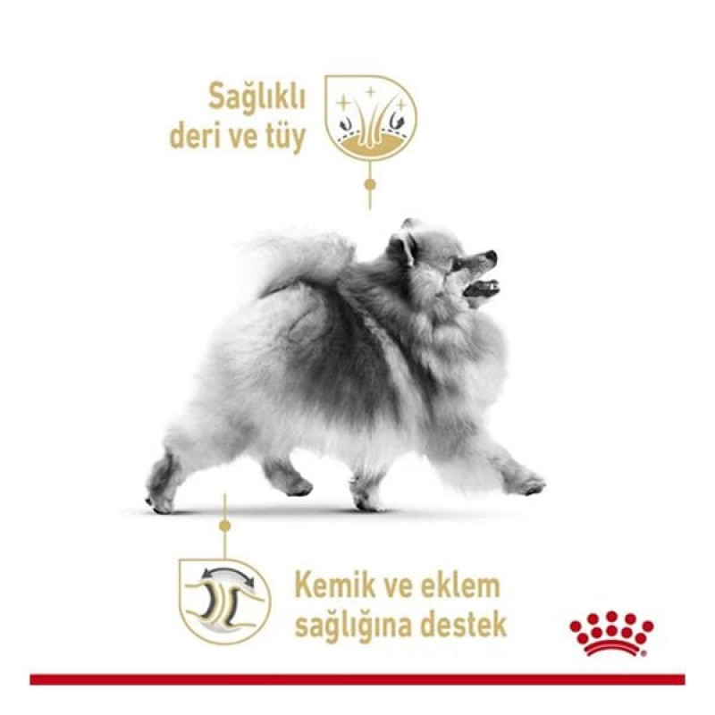 Royal Canin 85 Gr Pomeranian Loaf | Yetişkin Köpek Konserve Maması