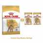 Royal Canin Poodle Adult Yetişkin Köpek Maması 3 Kg+2 Konserve Hediyeli