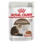 Royal Canine 85 Gr +12 Ageing | Yaşlı Kedi Maması