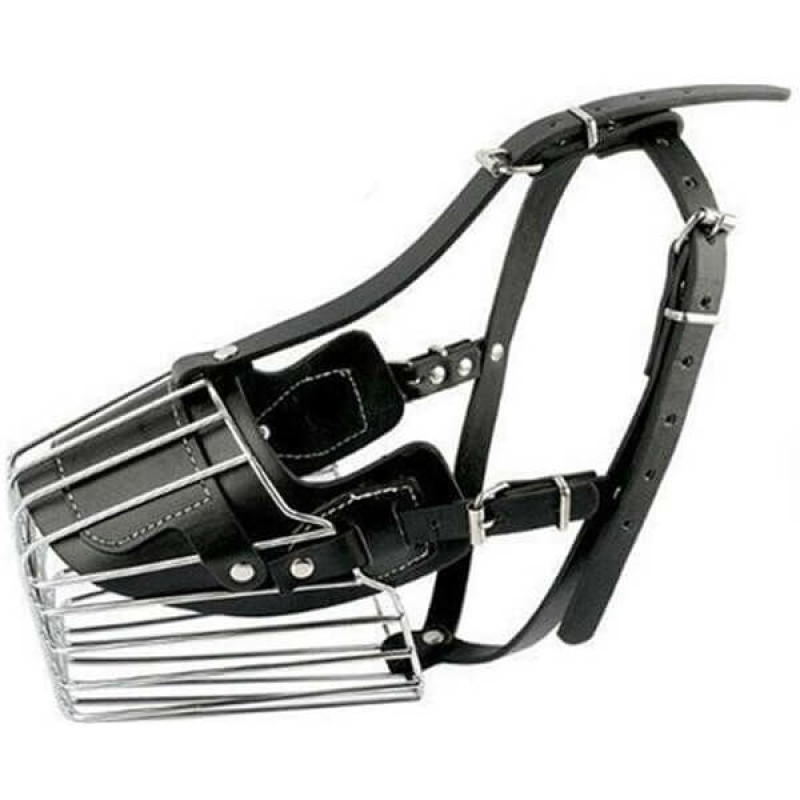 Royalist Büyük ve Dev Irk Metal Köpek Ağızlığı No:4 | Köpek Ağızlığı Royalist Büyük ve Dev Irk Metal Köpek Ağızlığı No:4 | Köpek Ağızlığı