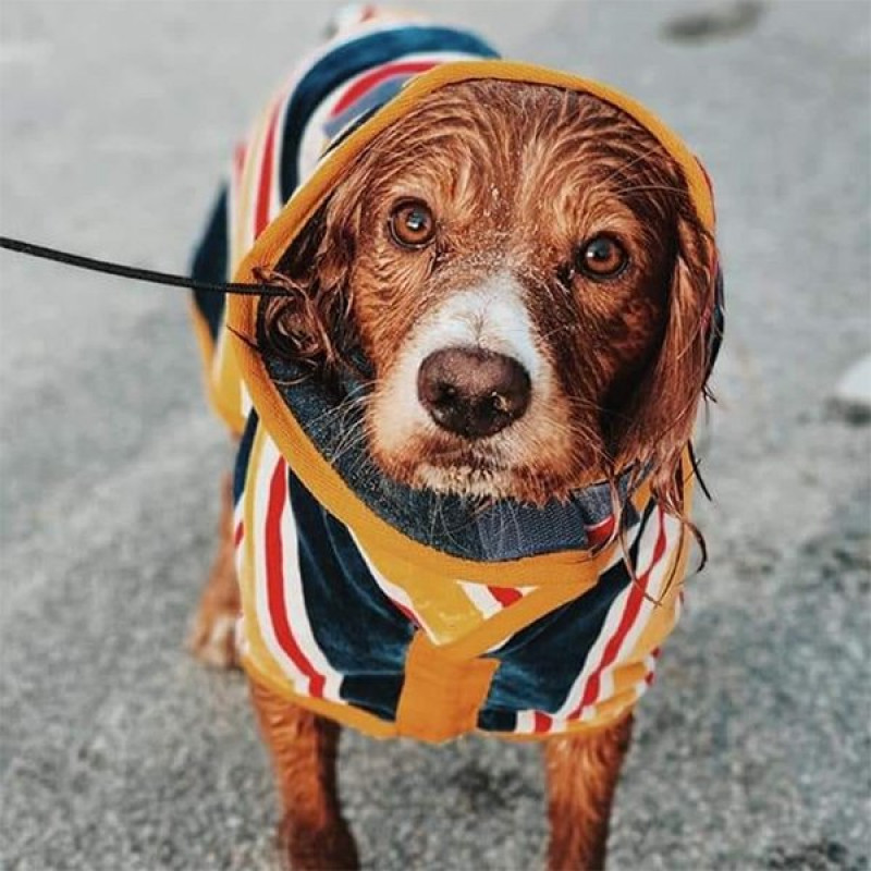 Ruff & Tumble 28-35 Cm Süper Emici Pamuklu Bornoz Plaj S | Köpek Kıyafeti