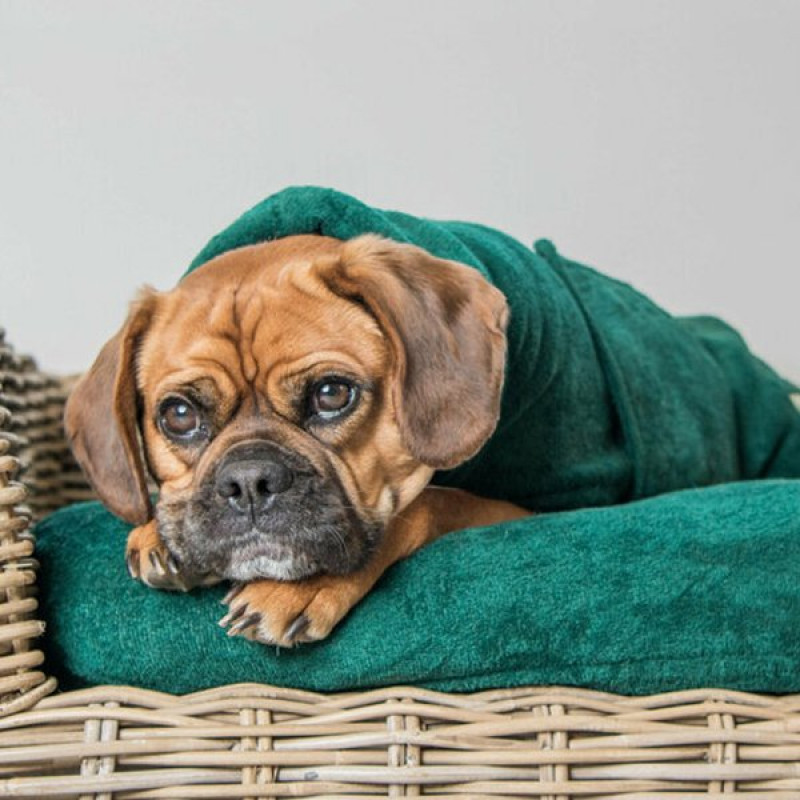 Ruff & Tumble 30-36 Cm Süper Emici Pamuklu Bornoz Zümrüt Yeşili DM | Köpek Şampuanı