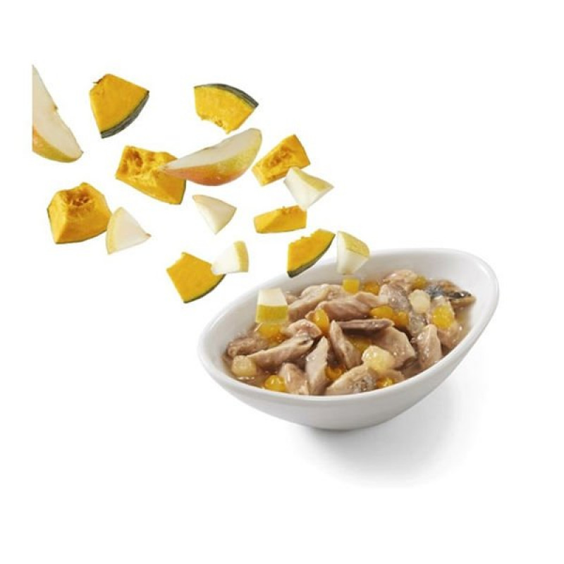 Schesir 85 Gr Salad Balkabağı ve Armutlu Okyanus Balığı | Yetişkin Kedi Maması