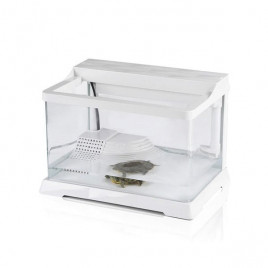 Sürüngen Kaplumbağa Akvaryumu Filtreli 50x30x30 Cm | Tatlı Su Akvaryumu Sürüngen Kaplumbağa Akvaryumu Filtreli 50x30x30 Cm | Tatlı Su Akvaryumu