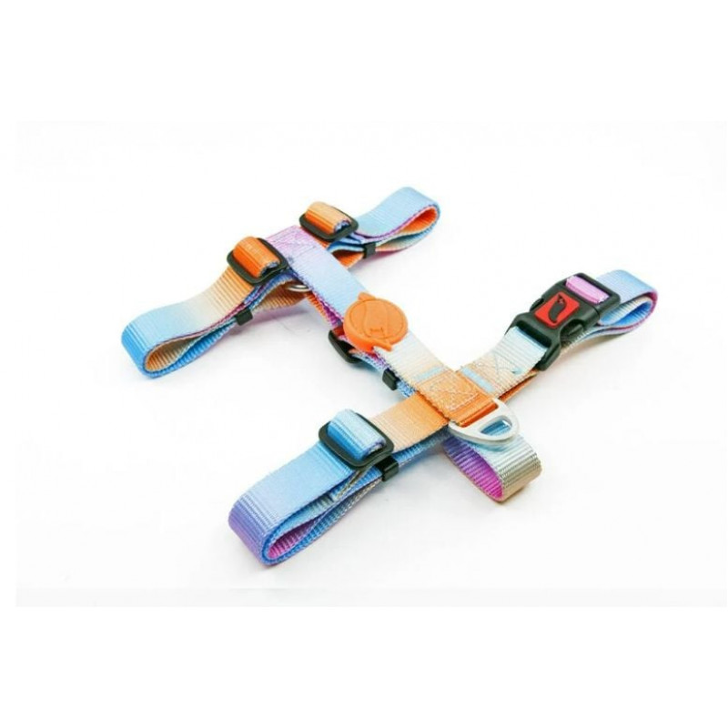 Tailpetz XS Pass Desenli Göğüs Tasması 19-33x22-37 Cm | Köpek Göğüs Tasması Tailpetz XS Pass Desenli Göğüs Tasması 19-33x22-37 Cm | Köpek Göğüs Tasması