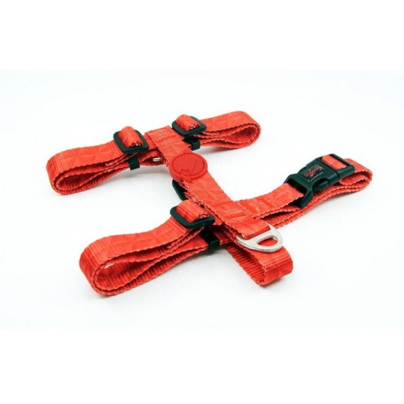 Tailpetz XS Prism Desenli Göğüs Tasması 19-33x22-37 Cm | Köpek Göğüs Tasması Tailpetz XS Prism Desenli Göğüs Tasması 19-33x22-37 Cm | Köpek Göğüs Tasması