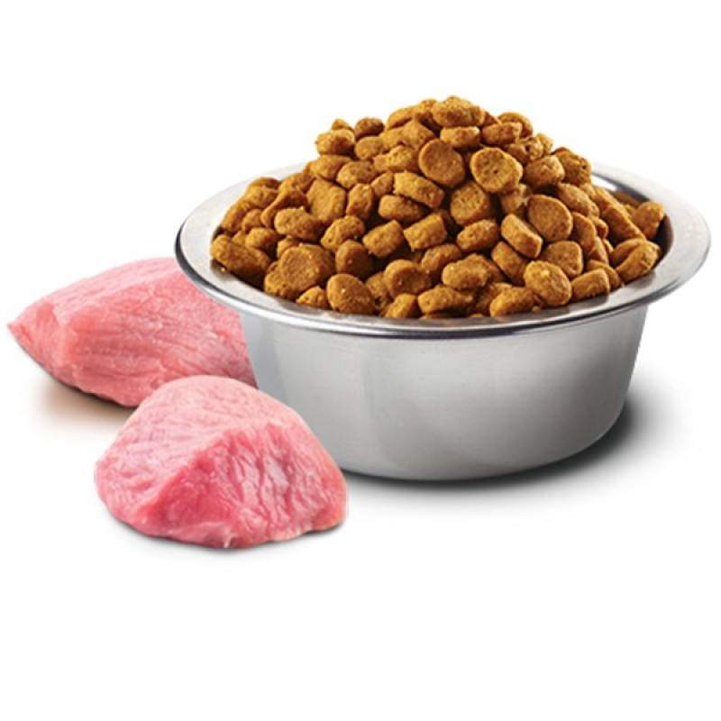 Farmina Team Breeder 20 Kg Tahılsız Taze Kuzu Eti & Yaban Mersinli Yavru | Yavru Köpek Kuru Maması