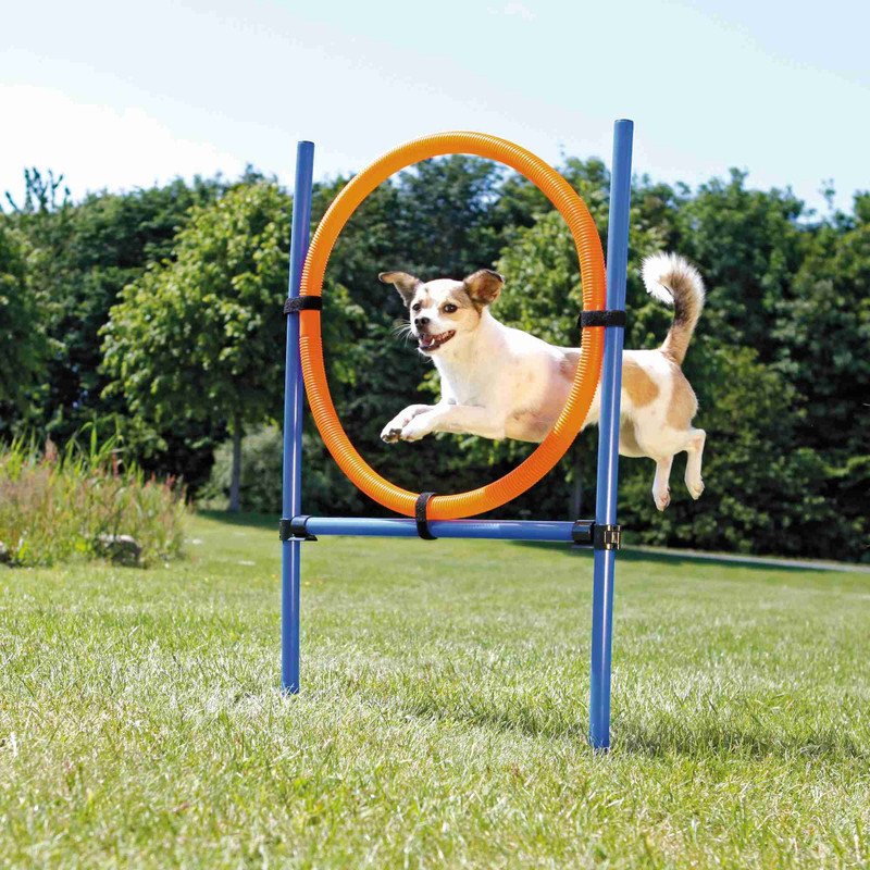 Trixie 115× 3 Cm, 65 Cm Agility Eğitim Çemberi | Köpek Spor Malzemesi Trixie 115× 3 Cm, 65 Cm Agility Eğitim Çemberi | Köpek Spor Malzemesi