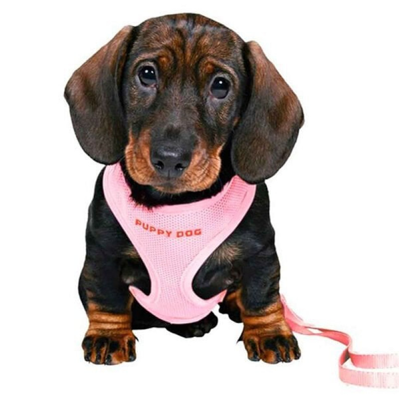 Trixie 23-34 Cm Yavru Göğüs Tasması 2M 10 Mm | Köpek Göğüs Tasması