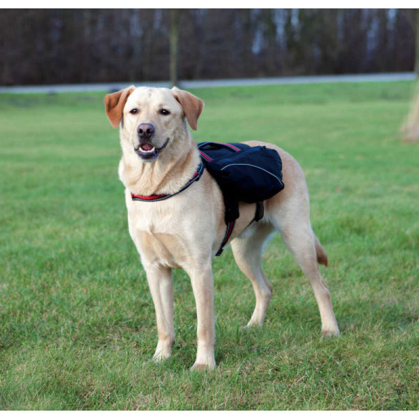 Trixie 29X15cm Sırt Çantası L Siyah | Köpek Kıyafeti