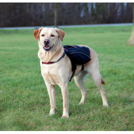 31X17cm Sırt Çantası L-XL Siyah | Köpek Kıyafeti