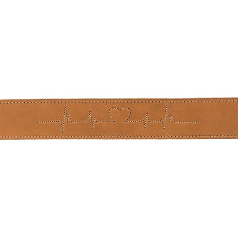 Trixie 40X55-65 Cm Tokalı Kalın Deri Boyun Xlarge Kahverengi