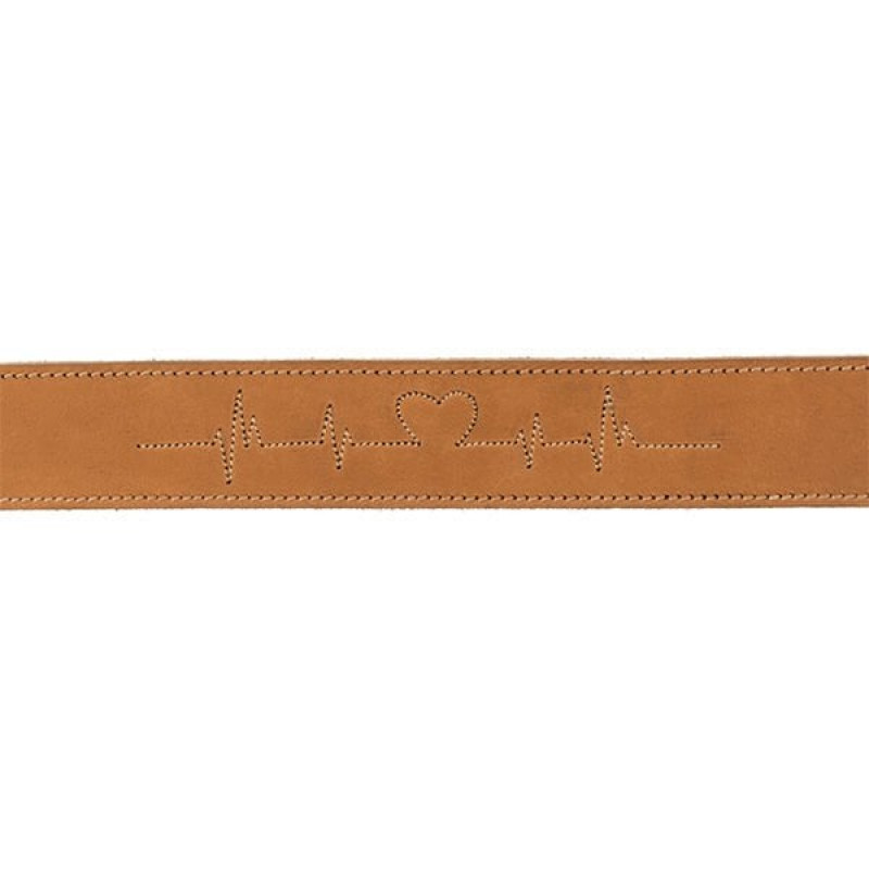 Trixie 40X55-65 Cm Tokalı Kalın Deri Boyun Xlarge Kahverengi