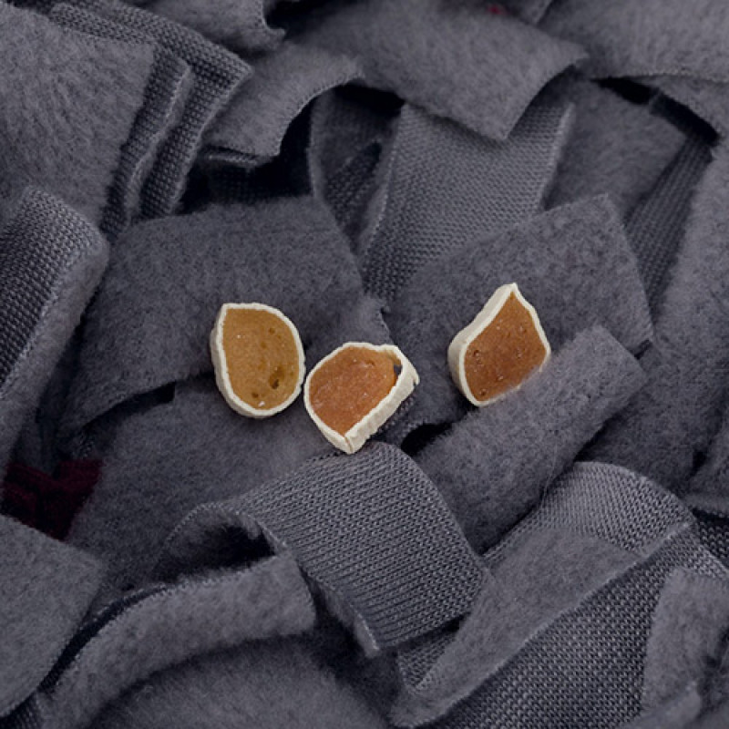 Trixie 50x34 Cm Ödül Gizlenen Halı | Ödül Hazneli Kedi Oyuncağı