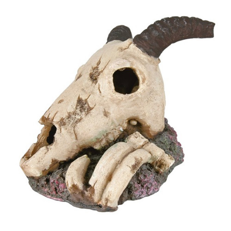 Trixie 7x8 Cm Gemi Batığı | Akvaryum Dekor Fon