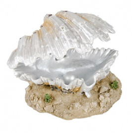 9 Cm İstiridye Akvaryum Dekoru | Akvaryum Dekor Fon