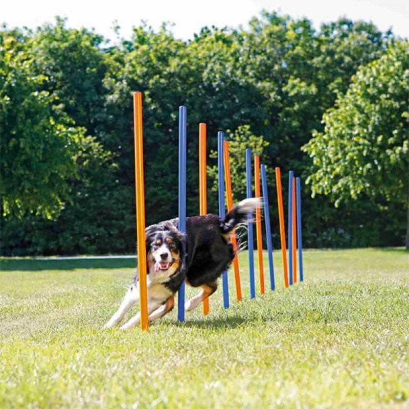 Trixie Agility Eğitim Direkleri | Köpek Eğitmen Malzemesi