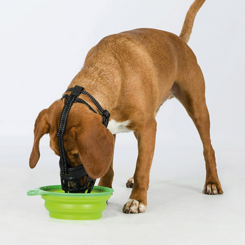 Trixie L Esnek Silikon Ağızlık | Köpek Ağızlığı