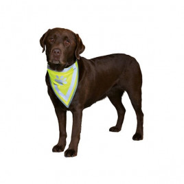 L-XL Bandana 42-60 Cm | Köpek Boyun Tasması L-XL Bandana 42-60 Cm | Köpek Boyun Tasması