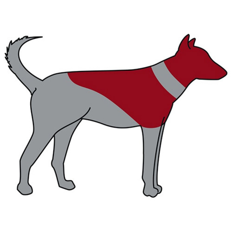 Trixie L-XL Koruyucu Şişme Yakalık Mavi | Köpek Medikal Ürün