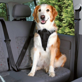 M Emniyet Kemeri ve Göğüs Tasması 50-65cm/20mm Siyah | Köpek Göğüs Tasması M Emniyet Kemeri ve Göğüs Tasması 50-65cm/20mm Siyah | Köpek Göğüs Tasması