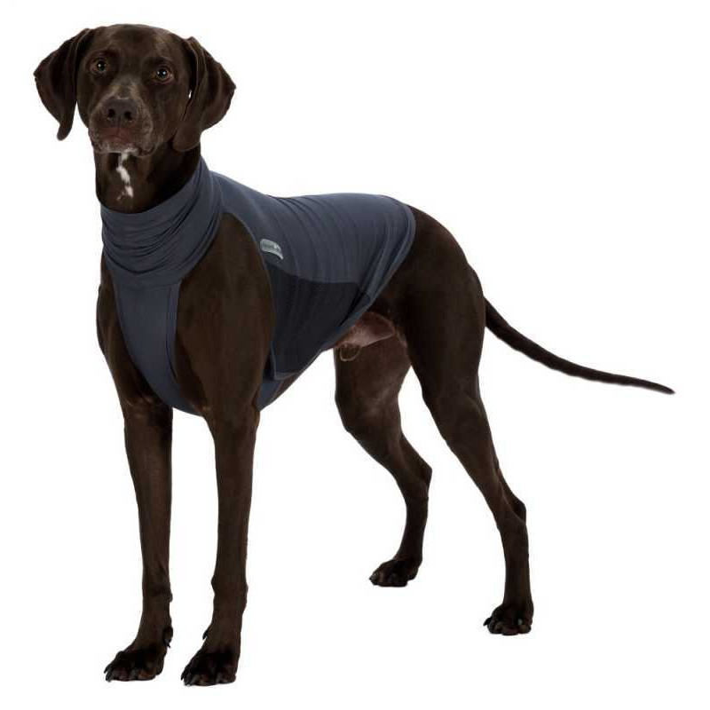 Trixie M-L Haşere Kovucu Kıyafet | Köpek Kıyafeti Trixie M-L Haşere Kovucu Kıyafet | Köpek Kıyafeti