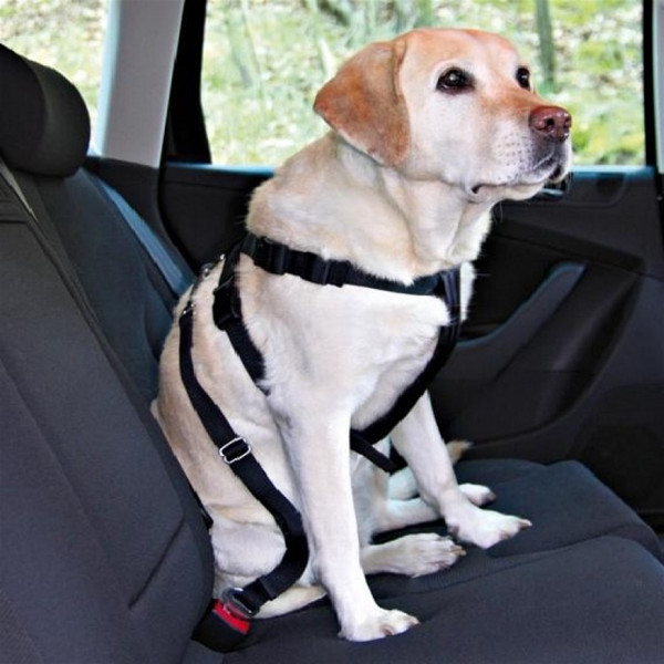Trixie S Köpek Emniyet Kemeri 30-60 Cm | Köpek Araç Emniyet Kemeri