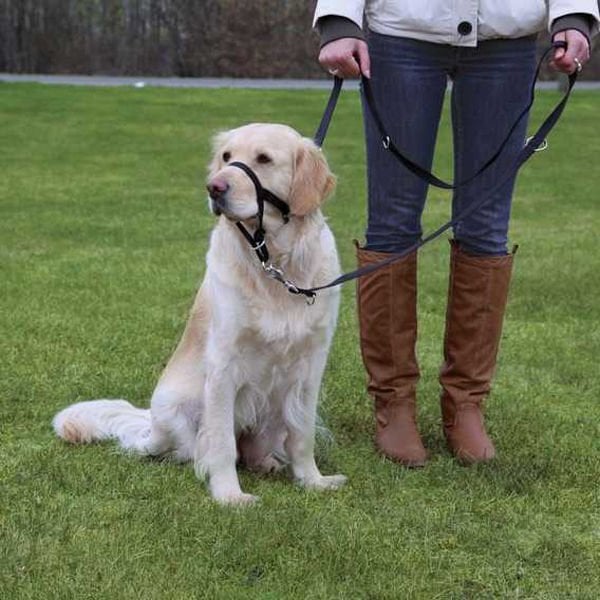Trixie XL Uzman Eğitim Tasması 37 Cm | Köpek Eğitim Tasması