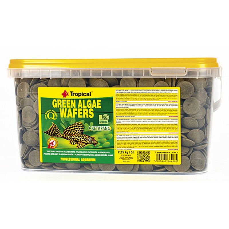 Tropical 2.25 KG Green Algae Wafers Vatoz Balıkları İçin Yosunlu Yüzen Tablet Yem 5 LT | Balık Yem Tableti Tropical 2.25 KG Green Algae Wafers Vatoz Balıkları İçin Yosunlu Yüzen Tablet Yem 5 LT | Balık Yem Tableti