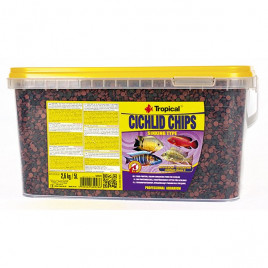 2.6 Kg Cichlid Chips Cichlid Balıkları İçin Renklendirici Cips Balık Yemi 5 Lt | Özel Akvaryum Yem 2.6 Kg Cichlid Chips Cichlid Balıkları İçin Renklendirici Cips Balık Yemi 5 Lt | Özel Akvaryum Yem