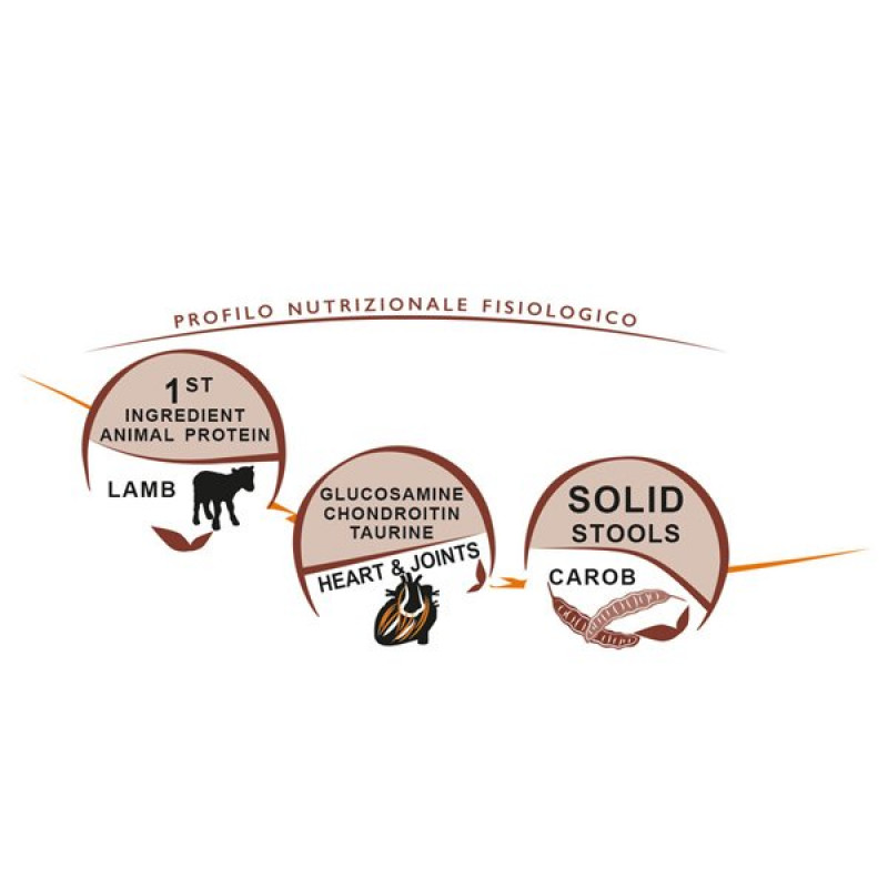 Unica Classe 12 Kg Adult Equilibrium Kuzu Etli Büyük Irk Yetişkin | Yetişkin Köpek Kuru Maması