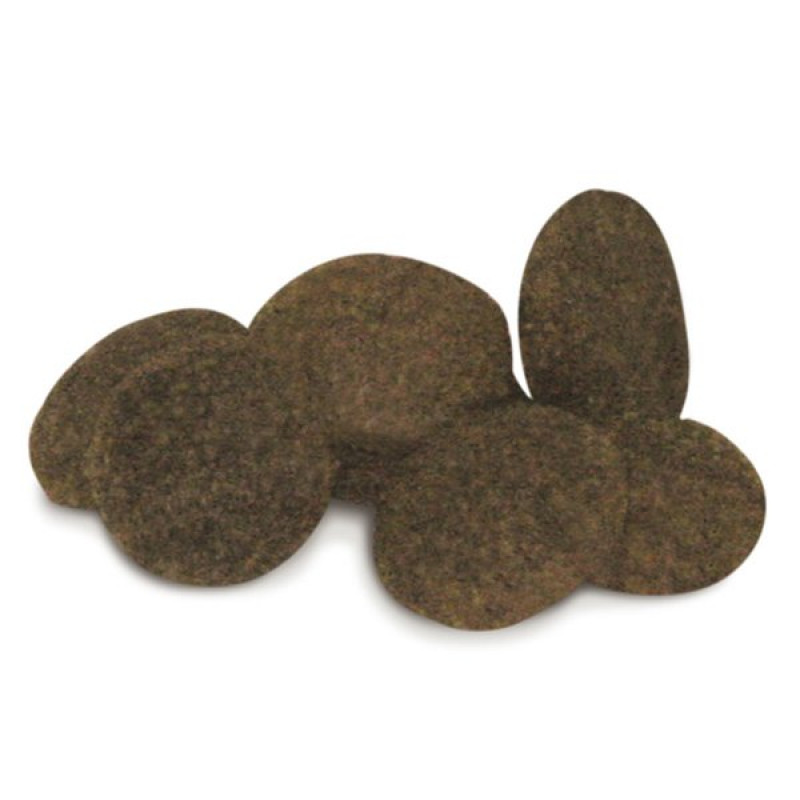 Unica Classe 2 Kg Adult Mini Tonic Somonlu Küçük Irk Yetişkin | Yetişkin Köpek Kuru Maması