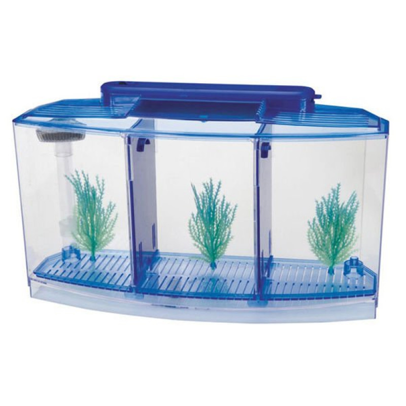 Venys 10x21x16 Cm 3 Bölmeli Beta Işıklı Akvaryum Seti Mavi