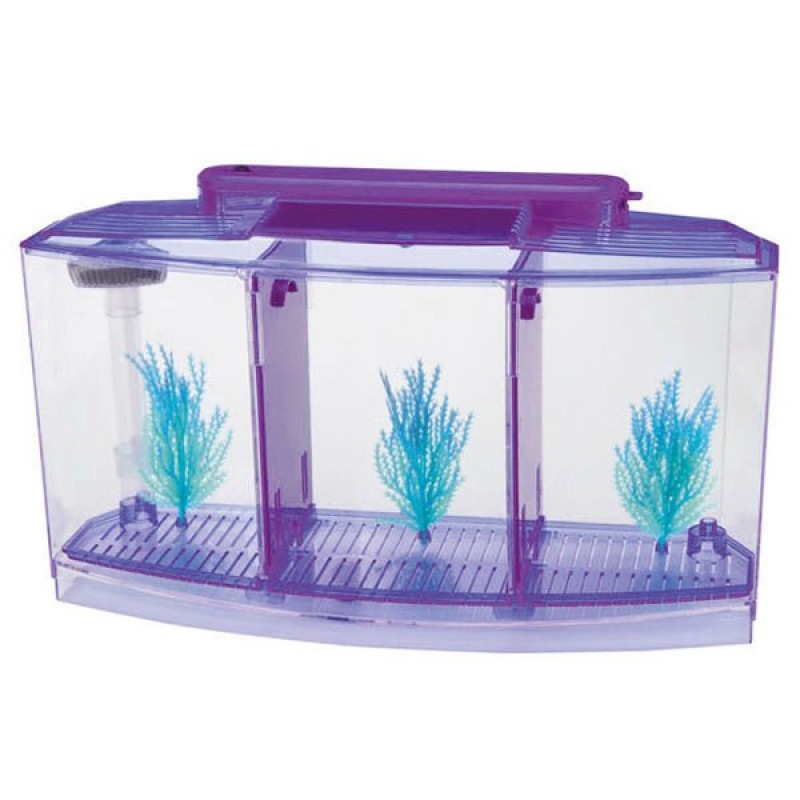 Venys 10x21x16 Cm 3 Bölmeli Beta Işıklı Akvaryum Seti Mor | Tatlı Su Akvaryumu