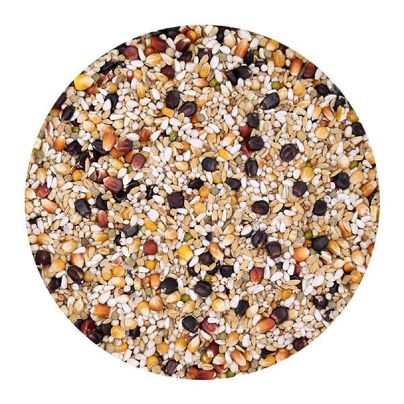 Versele Laga 20 Kg Gerry +IC Black Label Güvercin Yemi | Kuş Yemi