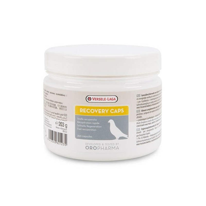 Versele Laga 203 Gr Recovery Caps Güvercin Yarış için Hastalık Hapı | Kuş İlacı Versele Laga 203 Gr Recovery Caps Güvercin Yarış için Hastalık Hapı | Kuş İlacı