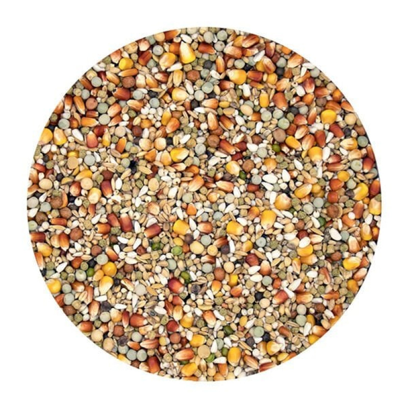 Versele Laga 22 Kg Champion +IC Güvercin Yemi | Kuş Yemi