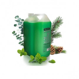 5 Lt Aloe Vera Kokulu Yatıştırıcı Şampuan | Köpek Şampuanı 5 Lt Aloe Vera Kokulu Yatıştırıcı Şampuan | Köpek Şampuanı