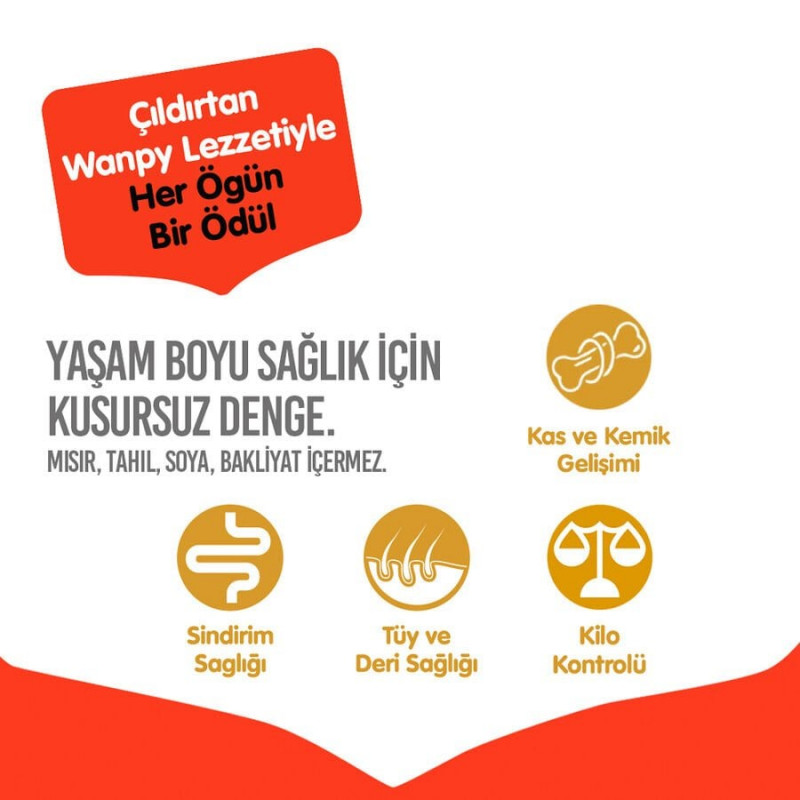Wanpy 1.5 Kg Sığır Etli Tahılsız Yetişkin Köpek Maması