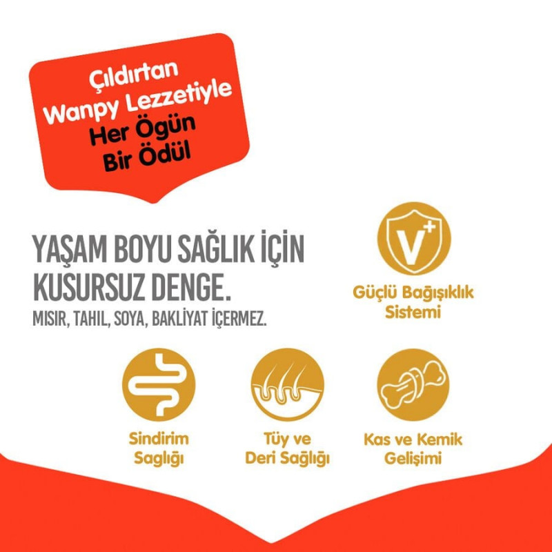 Wanpy 1.5 Kg Tavuklu Tahılsız Yetişkin Köpek Maması 