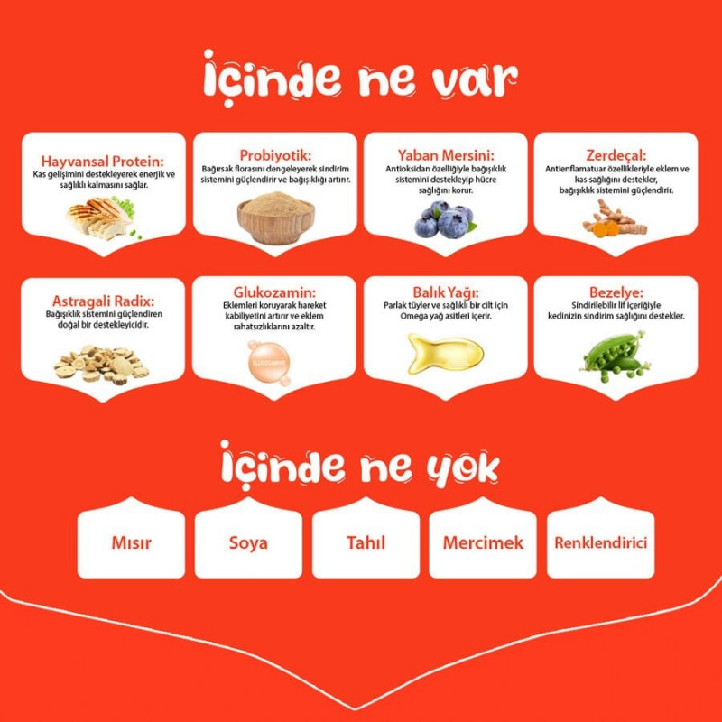 Wanpy 1.5 Kg Tavuklu Tahılsız Yetişkin Köpek Maması 