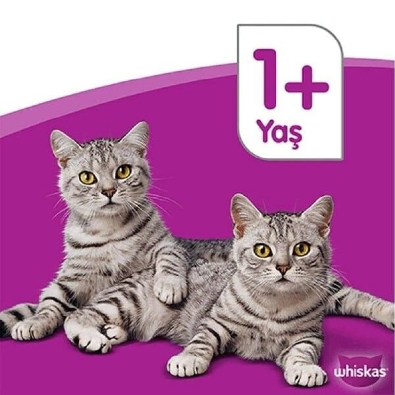 Whiskas 300 Gr Biftekli ve Havuçlu Yetişkin Kedi Maması