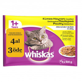 4 Adet Kümes Hayvanı Seçenekleri Jöleli Pouch 100 Gr | Yetişkin Kedi Maması 4 Adet Kümes Hayvanı Seçenekleri Jöleli Pouch 100 Gr | Yetişkin Kedi Maması